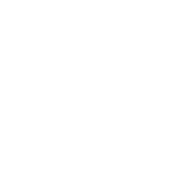 Compliance icon