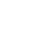 Wheel loss prevention icon