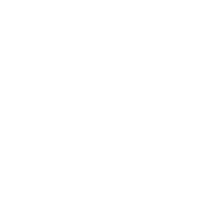 Tyre life icon